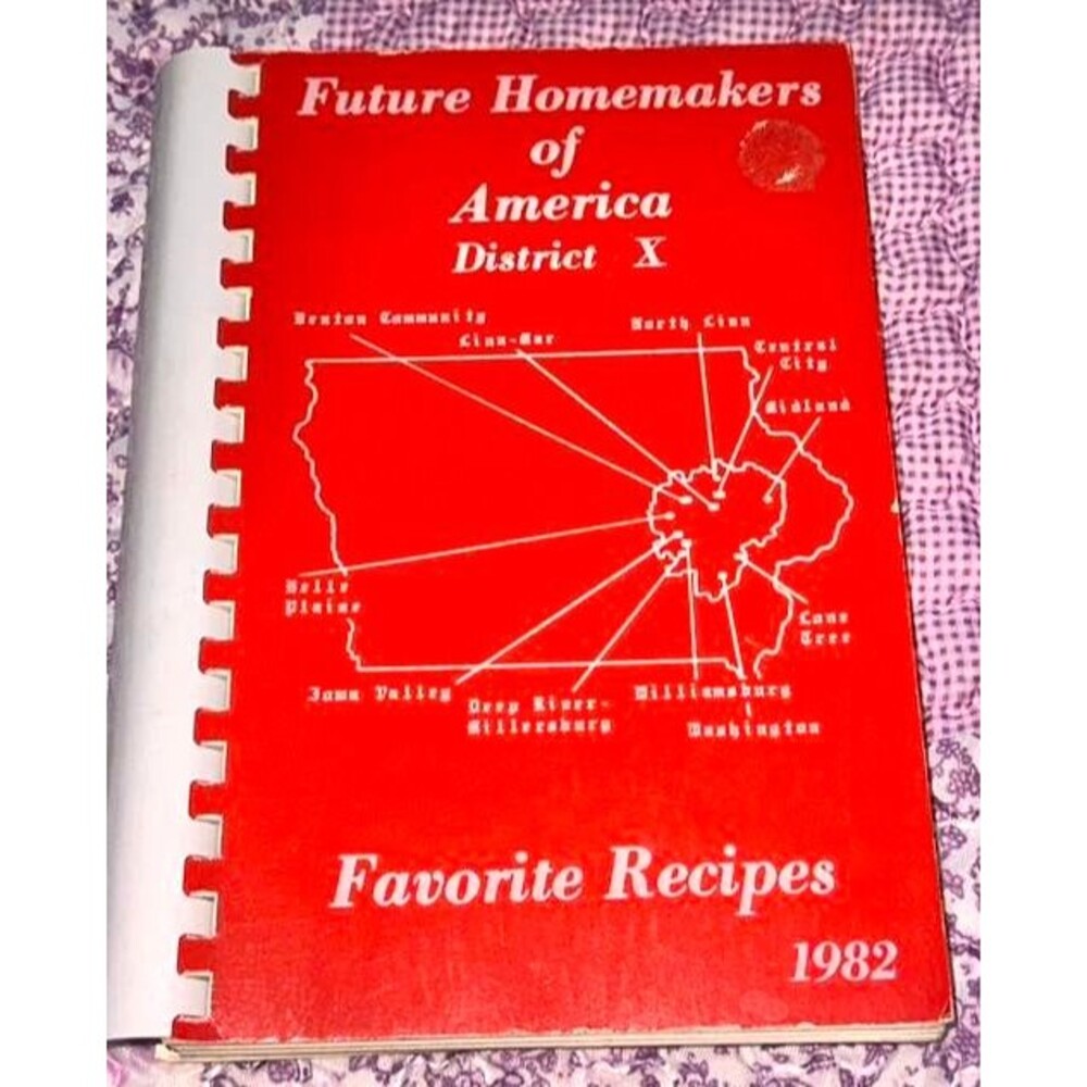 Vtg Cookbook 1982 Future Homemakers Of America District X Favorite Recipes